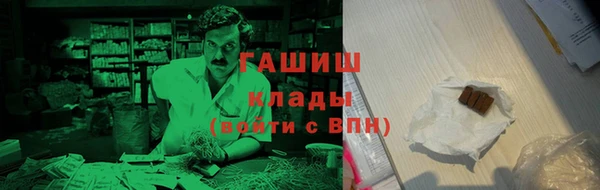 прущие грибы Ельня