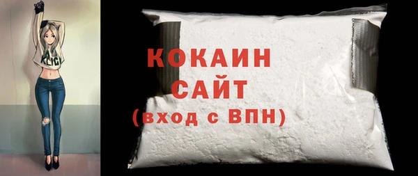 прущие грибы Ельня