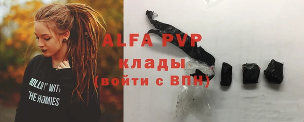 индика Грязи