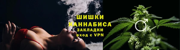 спиды Заводоуковск