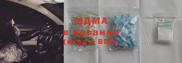 прущие грибы Ельня