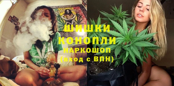 спиды Заводоуковск