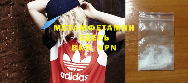 прущие грибы Ельня