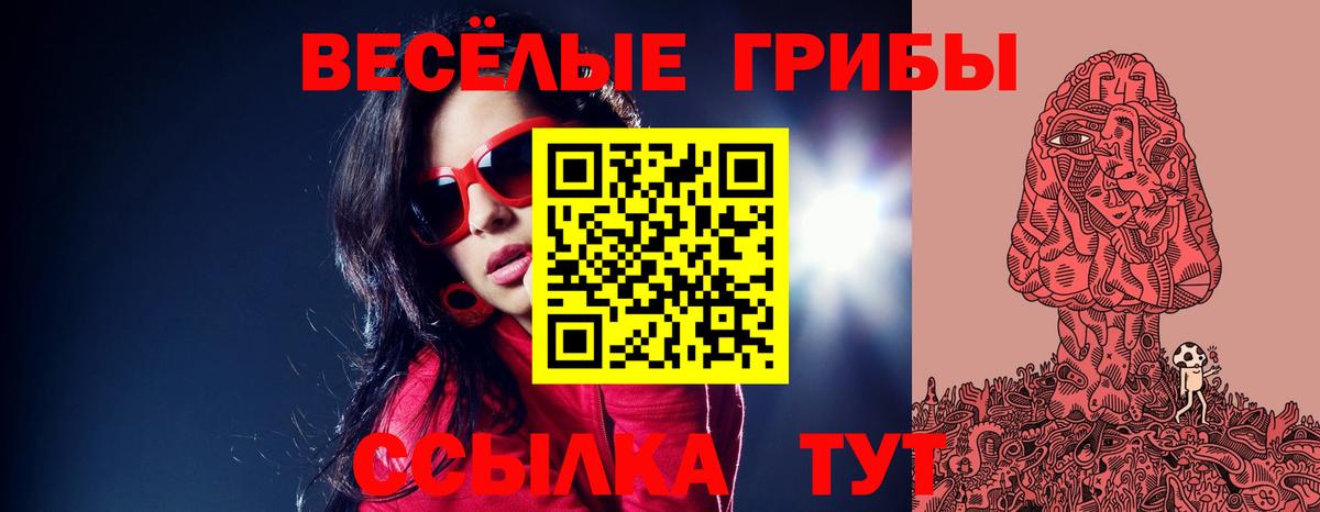Галлюциногенные грибы мицелий  Вход с VPN  Заводоуковск 